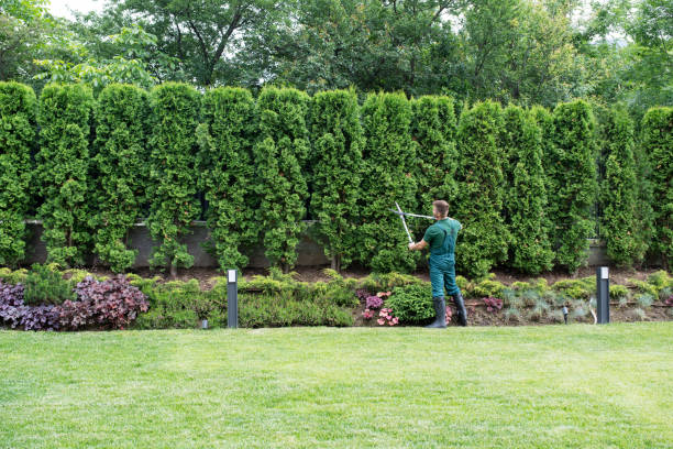 Best Tree Branch Trimming  in Choudrant, LA